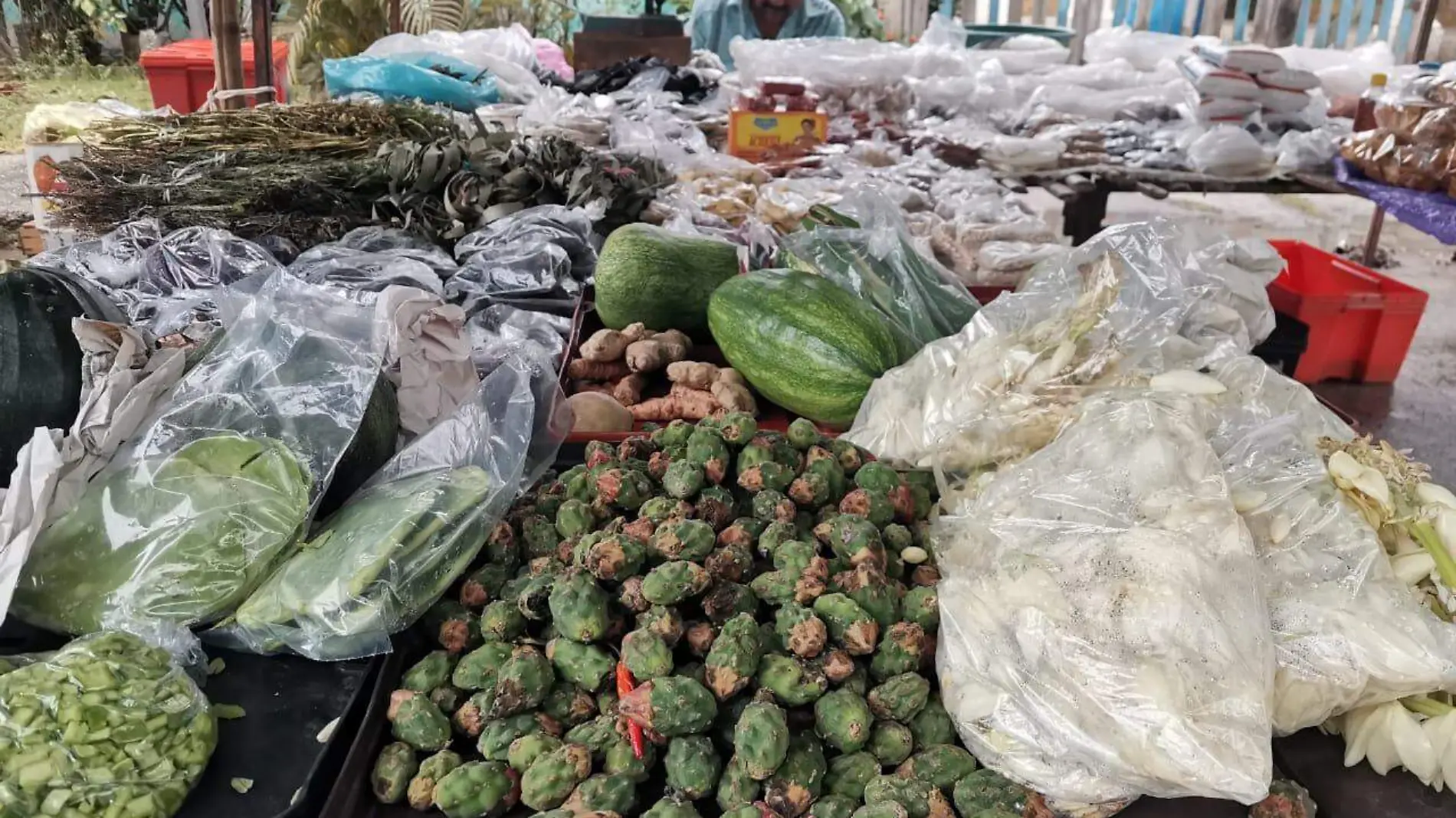  Tunitas de nopal o flores de este esta cactácea 